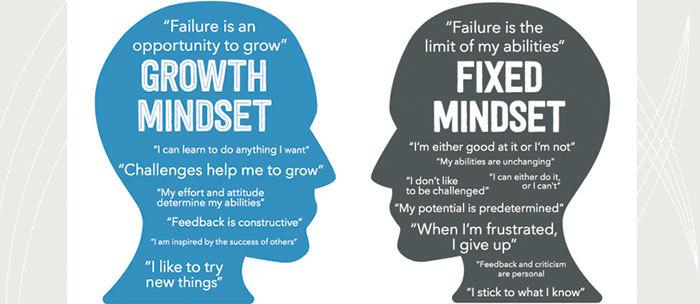 Growth vs Fixed mindsets (Aviation)